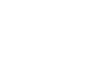 Harley Davidson Logo